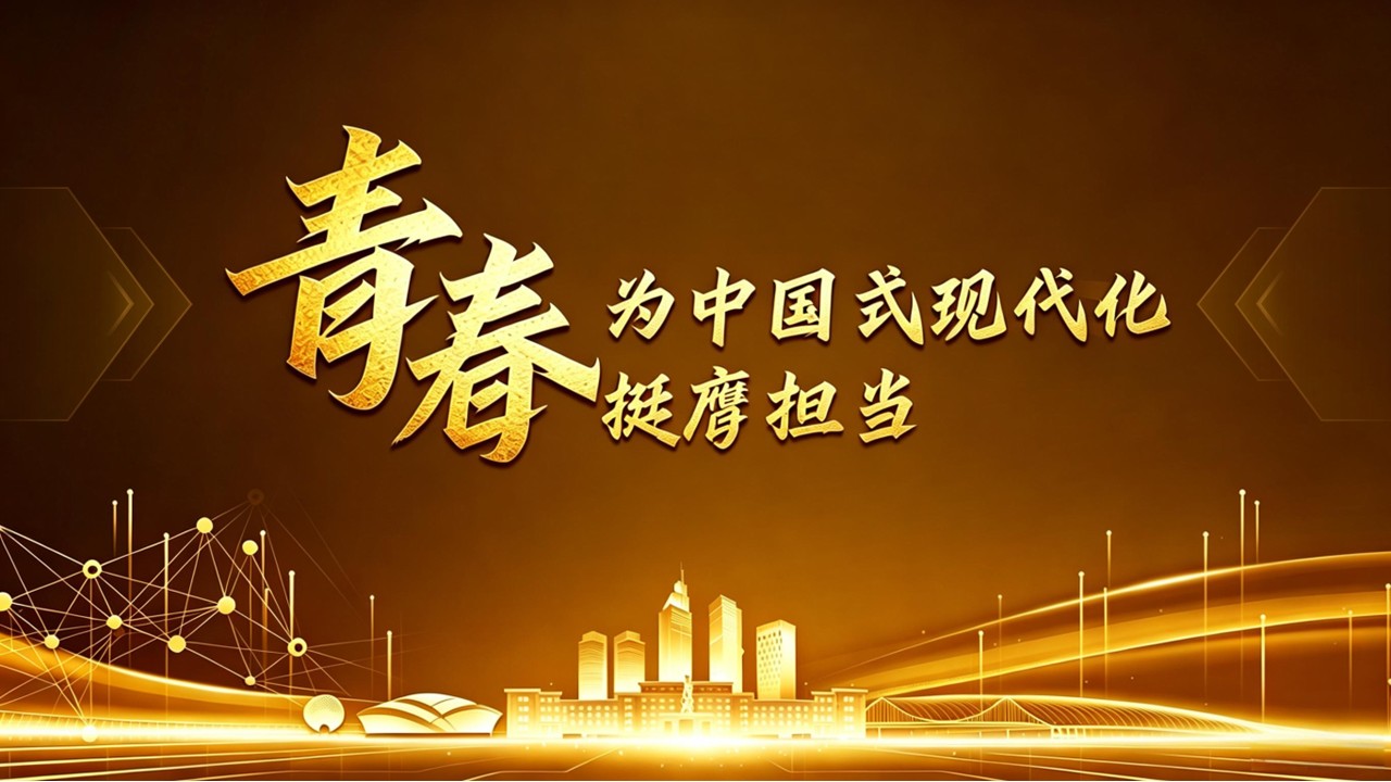 《银龄语伴》挑战杯第13页预览图