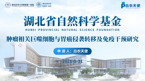 455期-申报答辩-肿瘤相关巨噬细胞与胃癌侵袭转移及免疫干预研究