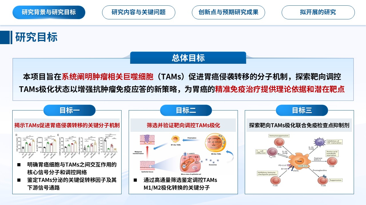 455期-申报答辩-肿瘤相关巨噬细胞与胃癌侵袭转移及免疫干预研究第6页预览