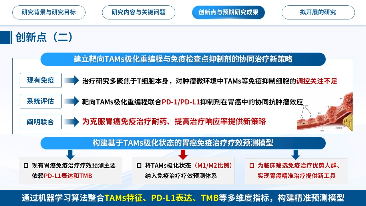455期-申报答辩-肿瘤相关巨噬细胞与胃癌侵袭转移及免疫干预研究第13页预览
