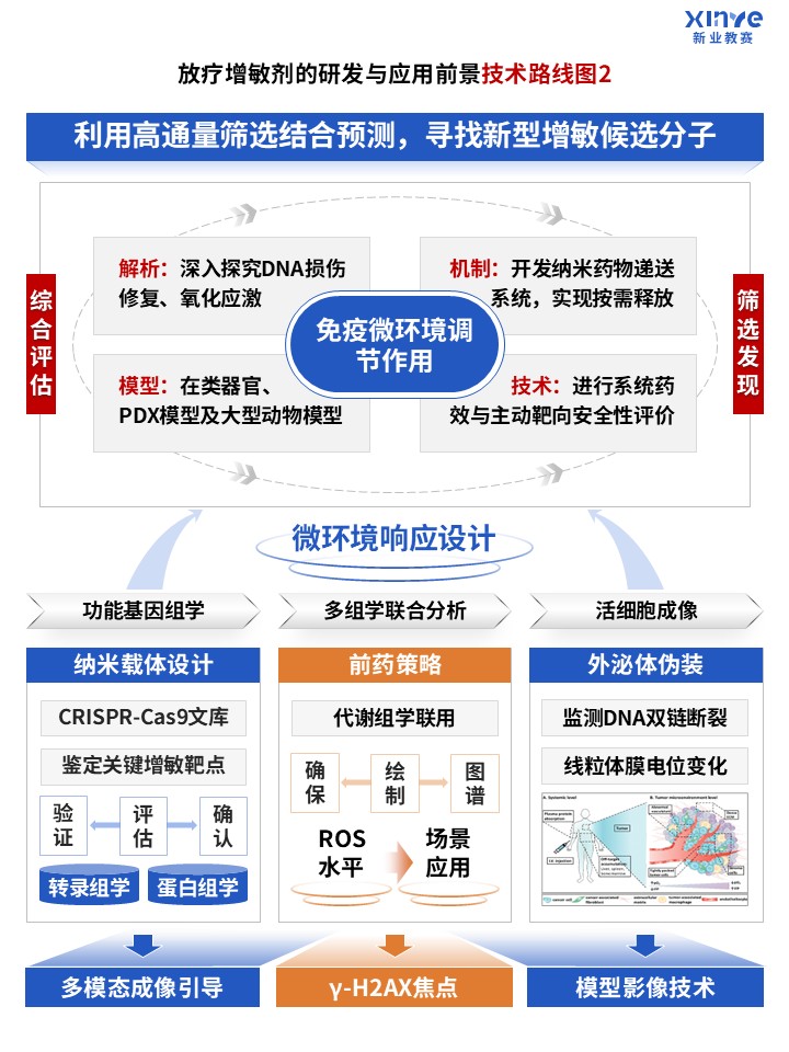 89-2科研绘图（放疗增敏剂-蓝色）第2页预览图