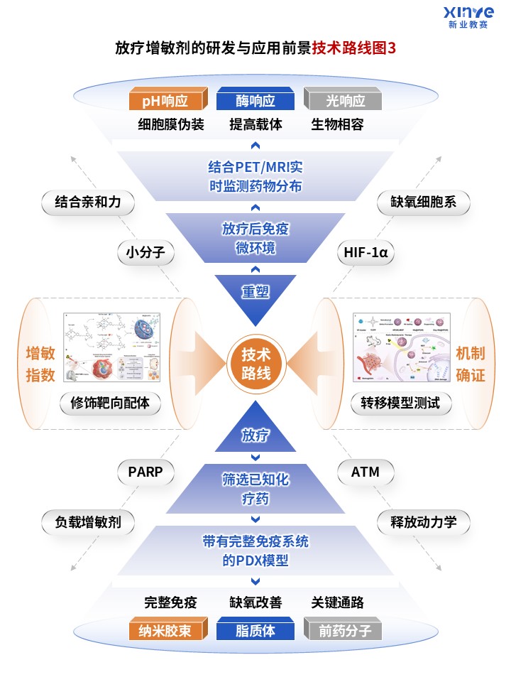 89-2科研绘图（放疗增敏剂-蓝色）第3页预览图