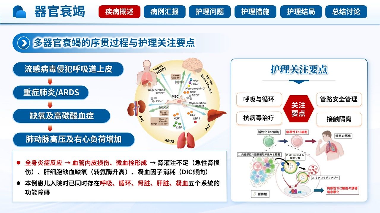 518期-护理查房-一例儿童甲型流感合并多器官衰竭的护理查房第4页预览