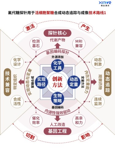58-1科研架构图 (活细胞聚糖-红棕蓝)
