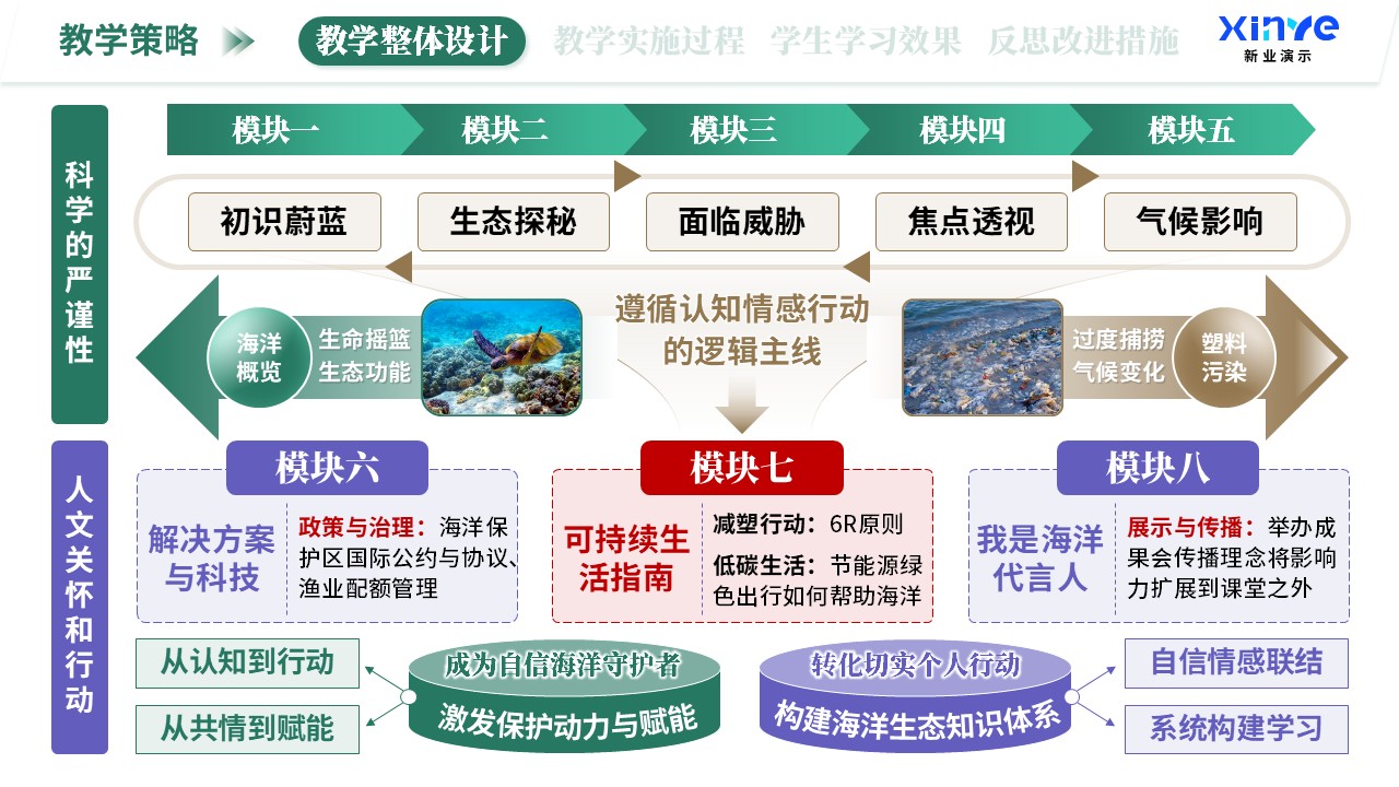 教学实施报告（海洋生态科普-绿紫棕）第3页预览图