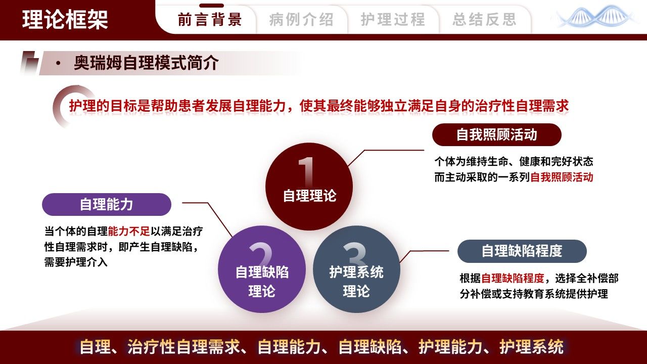 461期-护理个案-一例阿尔茨海默病早期患者的护理个案第4页预览