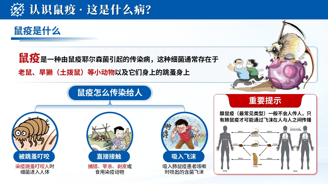103期-科普宣教-鼠疫防控护理指南第5页预览