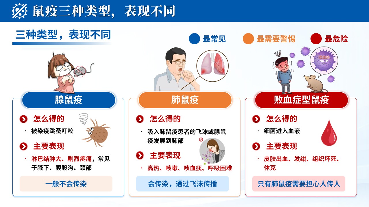 103期-科普宣教-鼠疫防控护理指南第6页预览