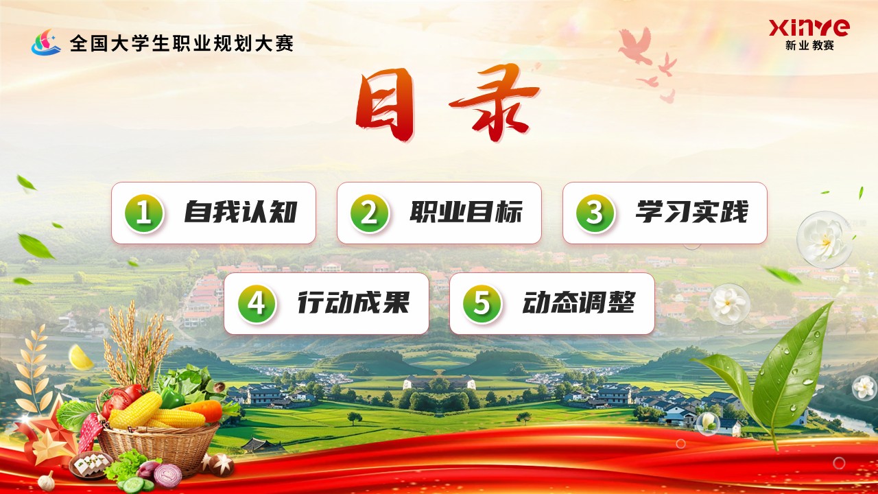 《奔赴基层，筑梦乡村》职规赛第2页预览图