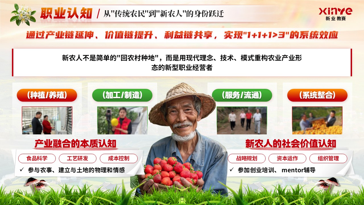 《奔赴基层，筑梦乡村》职规赛第5页预览图
