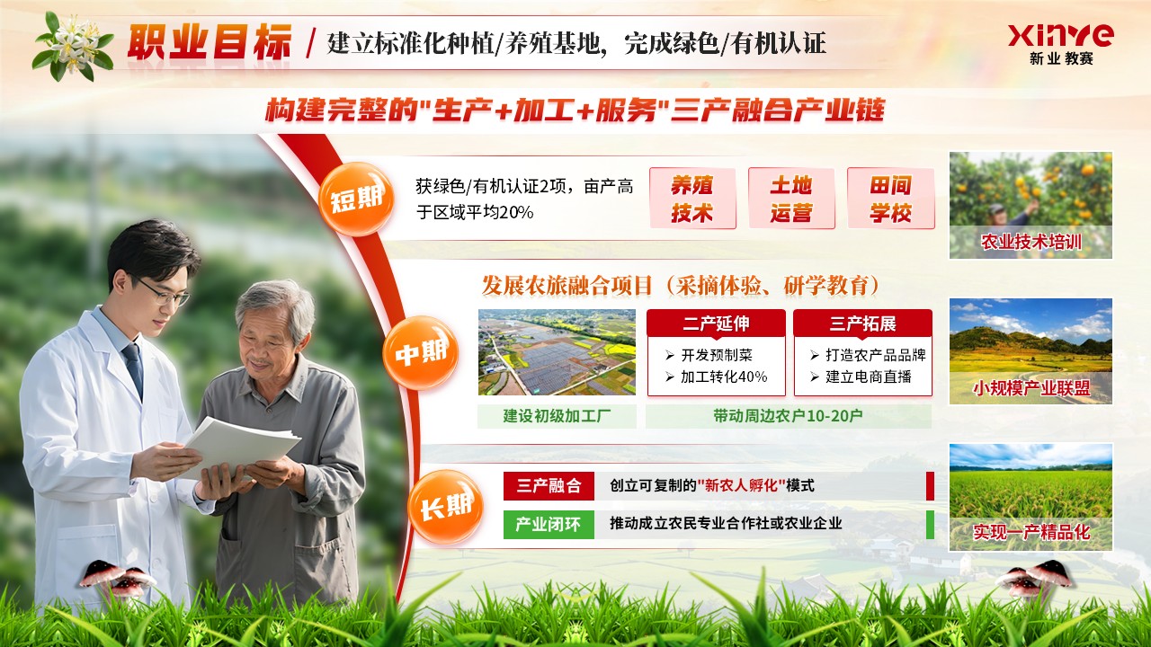 《奔赴基层，筑梦乡村》职规赛第6页预览图