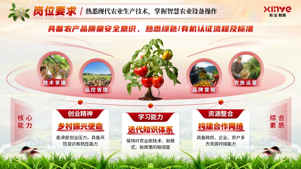 《奔赴基层，筑梦乡村》职规赛第7页预览图