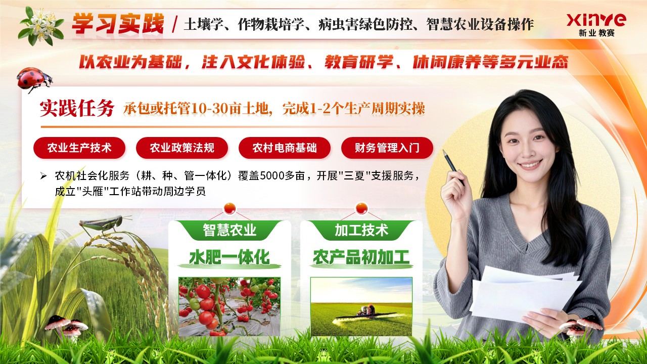 《奔赴基层，筑梦乡村》职规赛第8页预览图