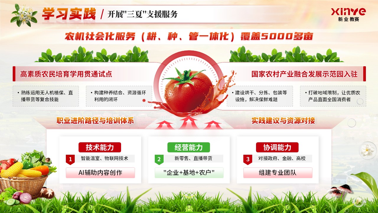 《奔赴基层，筑梦乡村》职规赛第9页预览图