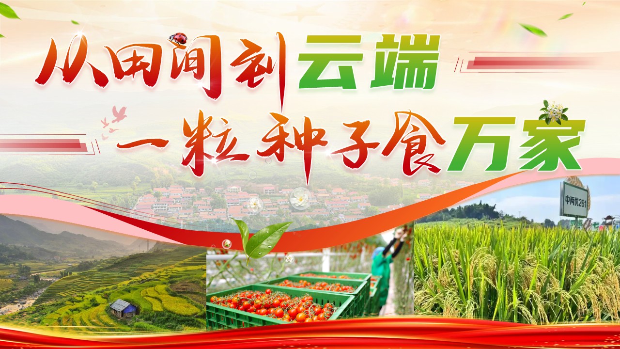 《奔赴基层，筑梦乡村》职规赛第12页预览图