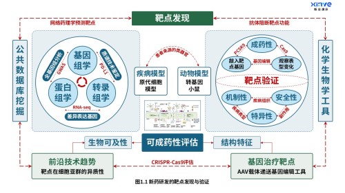 16-2科研架构图(药物研究-蓝绿)