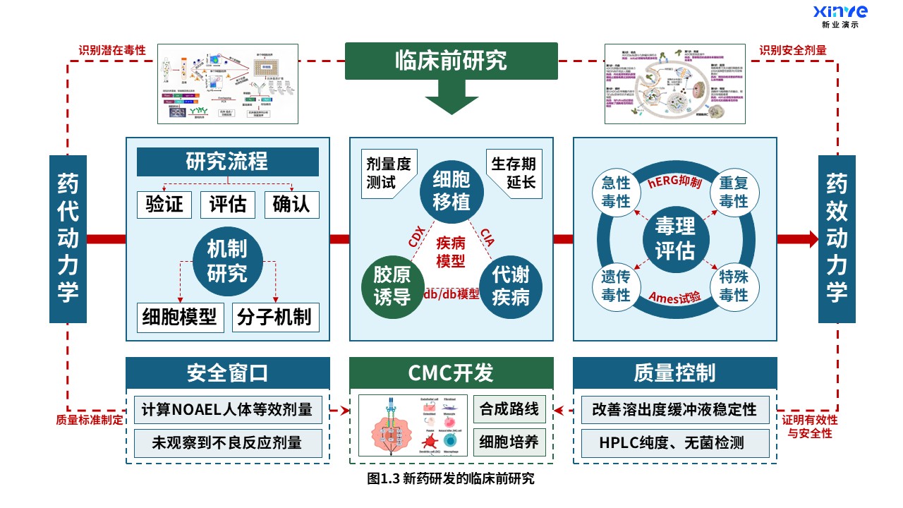 16-2科研架构图（药物研究-蓝绿）第3页预览图