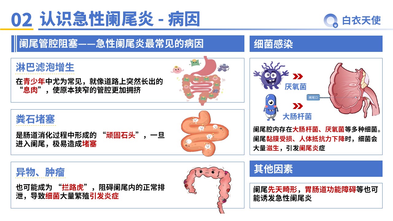 33-急性阑尾炎教宣第4页预览