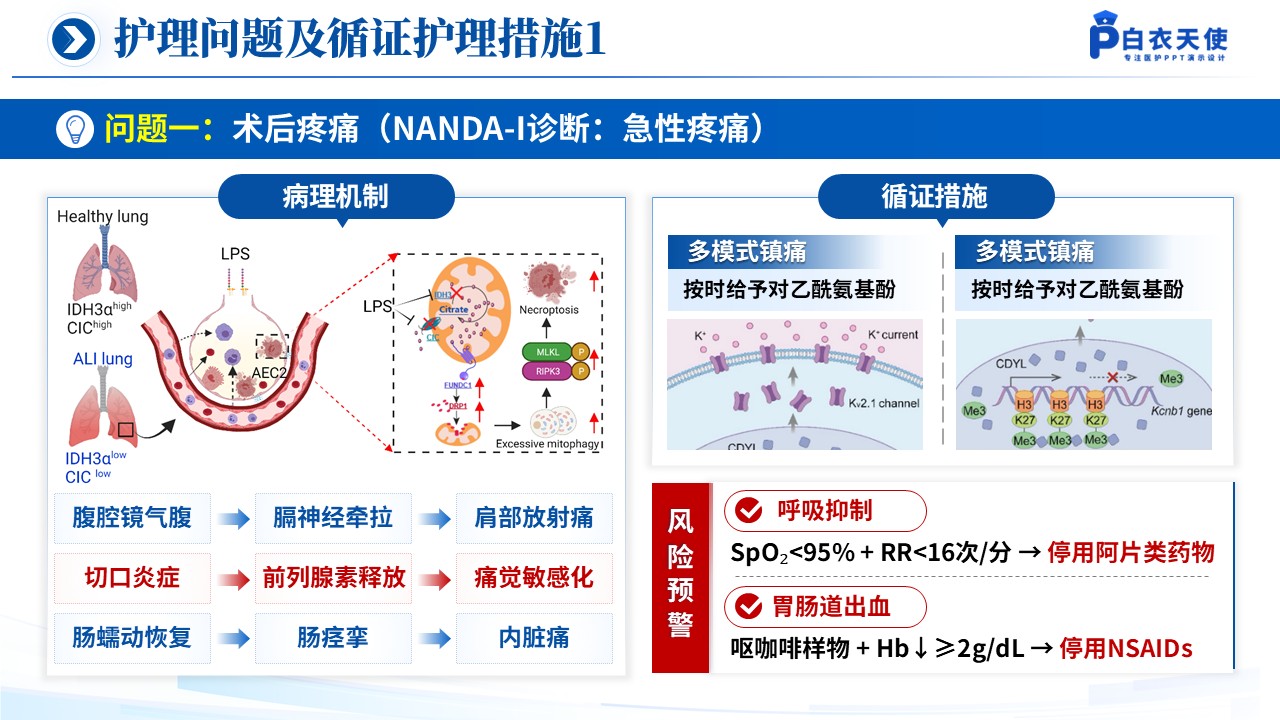 150期-循证教学查房（急性阑尾炎患儿的术后护理）第9页预览