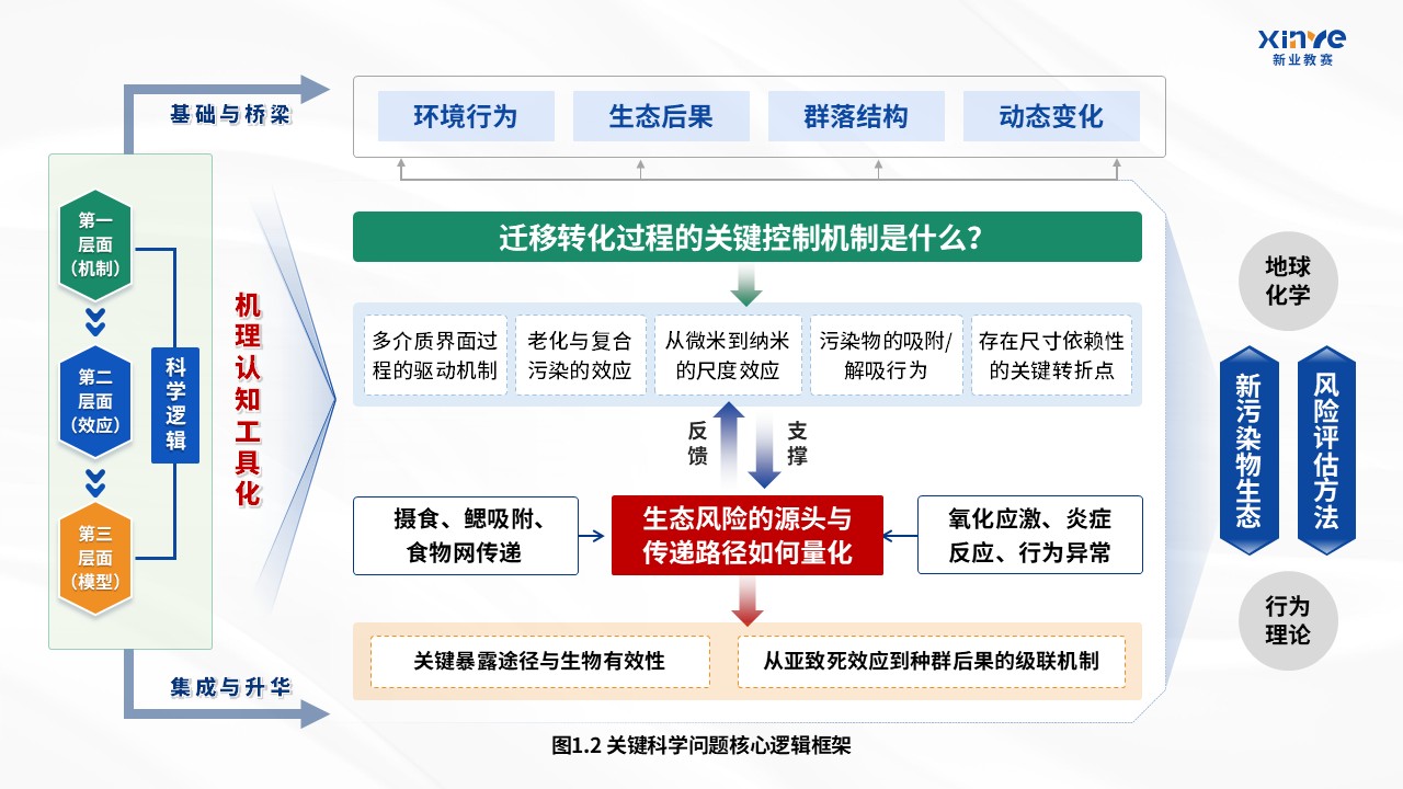 42-1科研架构图（微塑料在淡水生态系统中的迁移规律及生态风险评估-蓝绿）第2页预览图