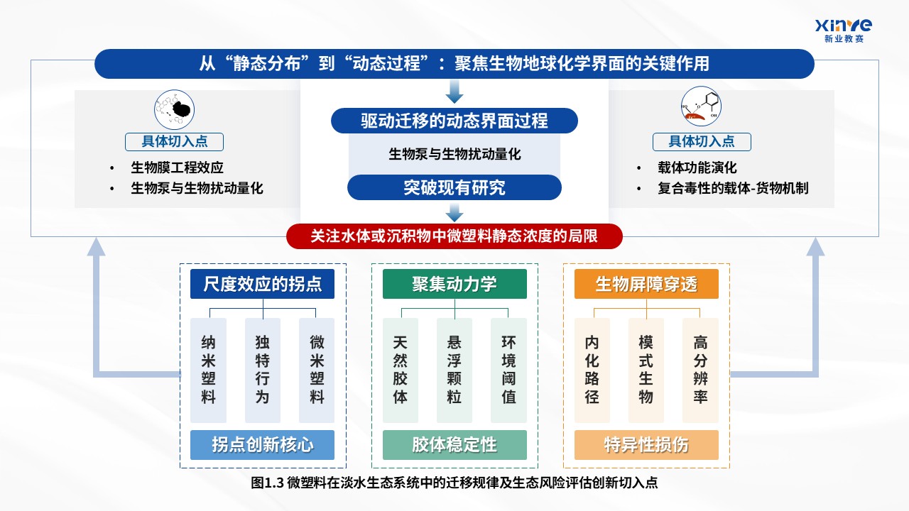 42-1科研架构图（微塑料在淡水生态系统中的迁移规律及生态风险评估-蓝绿）第3页预览图