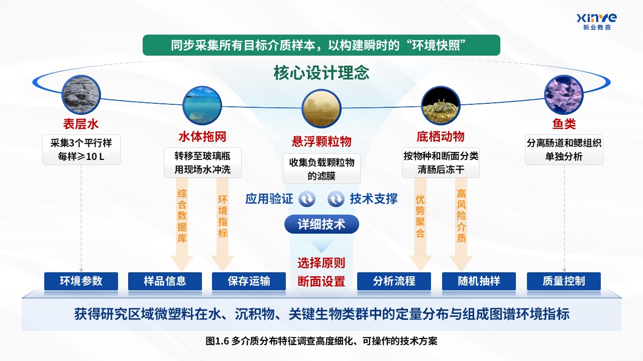 42-1科研架构图（微塑料在淡水生态系统中的迁移规律及生态风险评估-蓝绿）第6页预览图