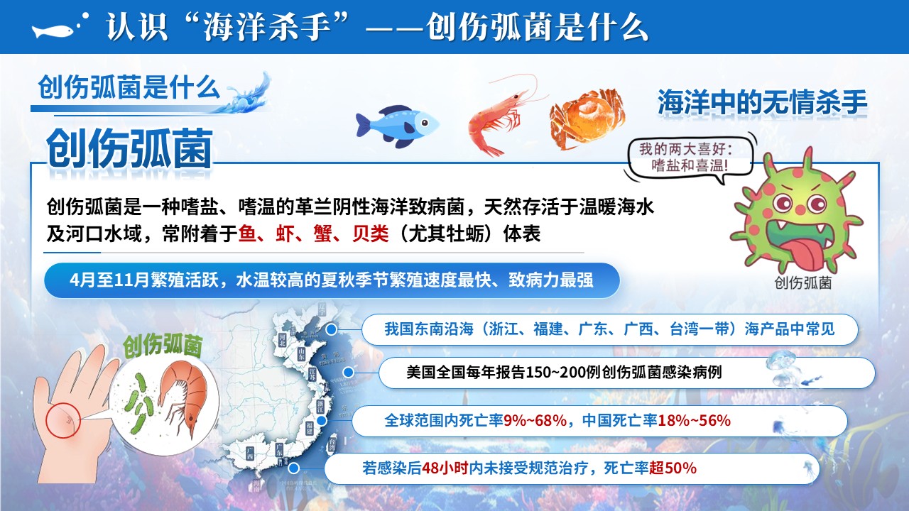 106期-护理科普-海洋创伤弧菌感染预防第5页预览