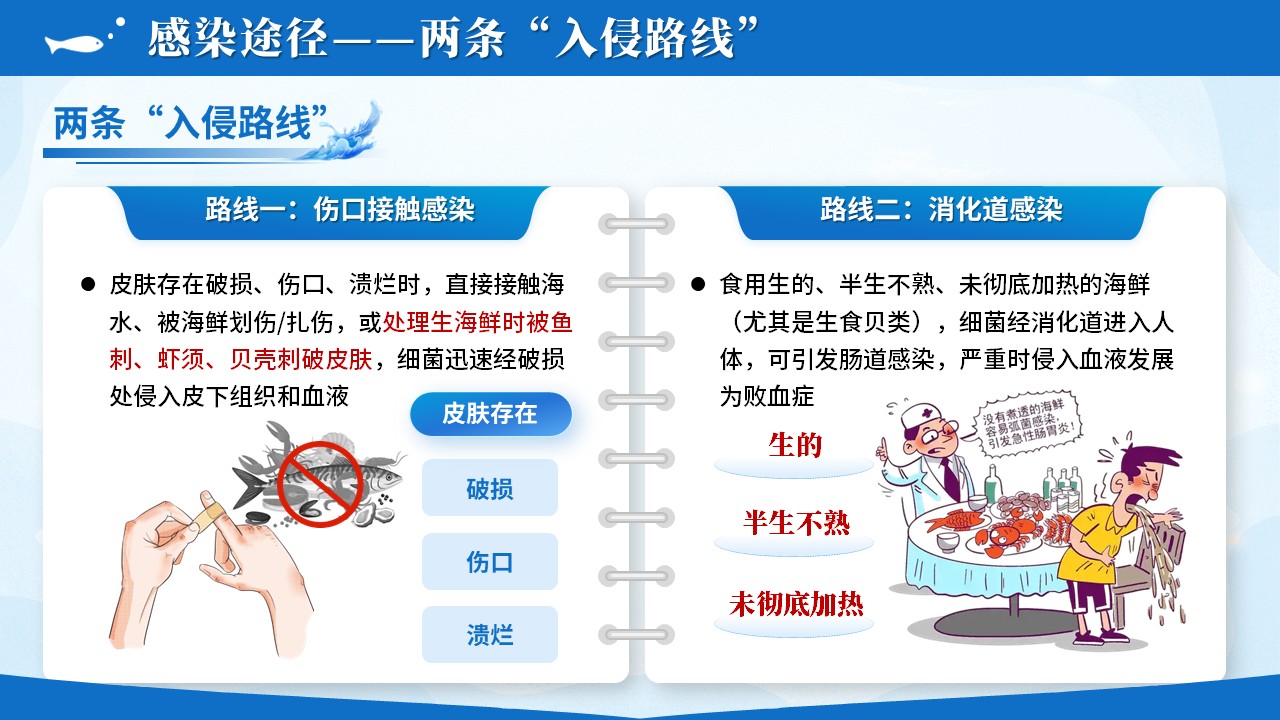 106期-护理科普-海洋创伤弧菌感染预防第7页预览