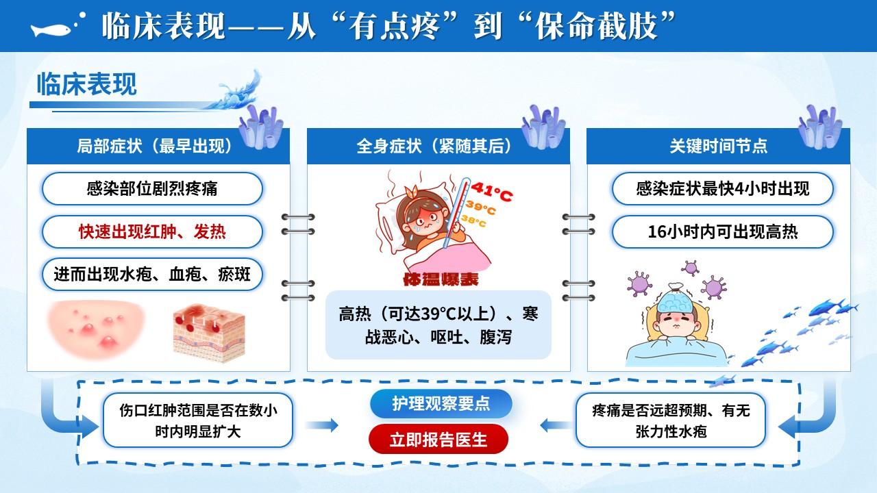 106期-护理科普-海洋创伤弧菌感染预防第9页预览