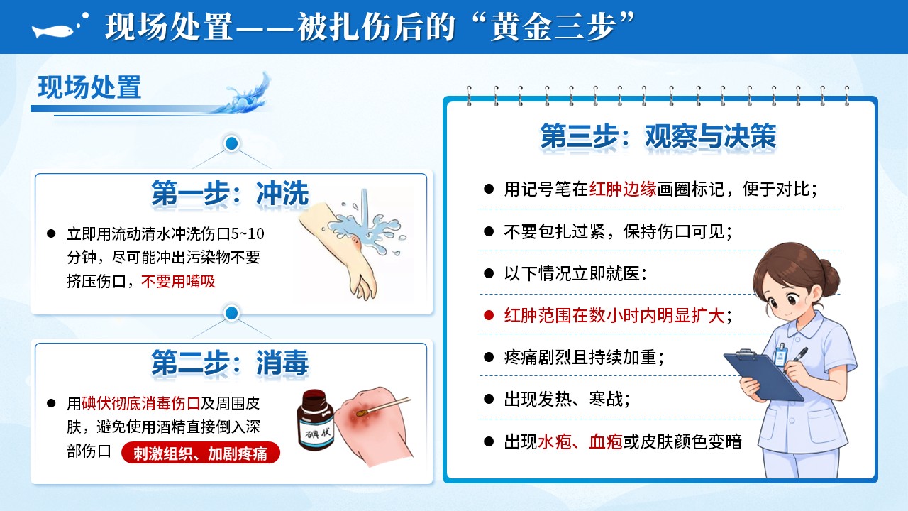106期-护理科普-海洋创伤弧菌感染预防第10页预览