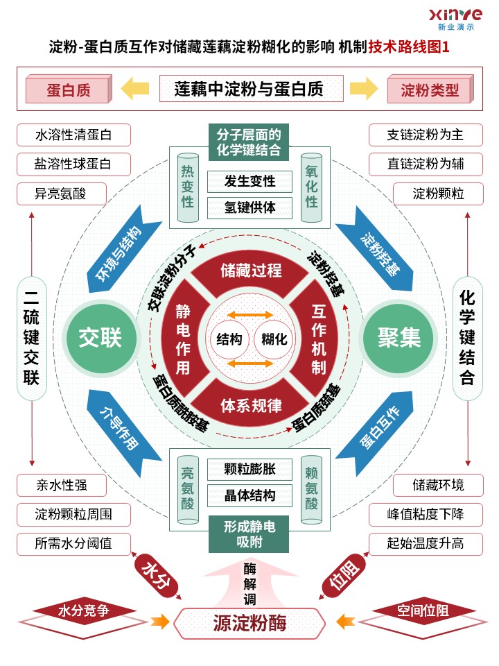63-1（技术路线图（蛋白质互作-红绿蓝）第1页预览图