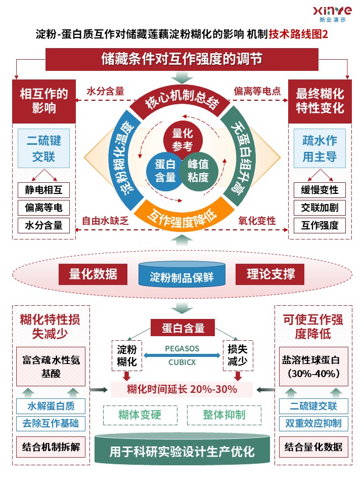 63-1（技术路线图（蛋白质互作-红绿蓝）第2页预览图