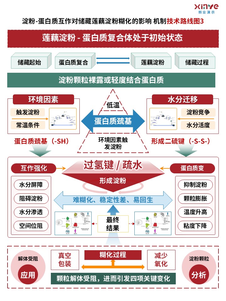 63-1（技术路线图（蛋白质互作-红绿蓝）第3页预览图