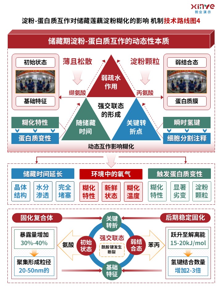 63-1（技术路线图（蛋白质互作-红绿蓝）第4页预览图
