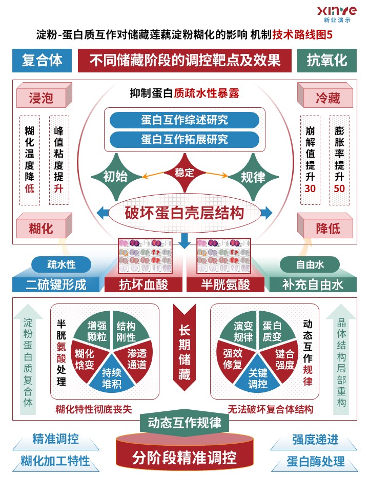 63-1（技术路线图（蛋白质互作-红绿蓝）第5页预览图
