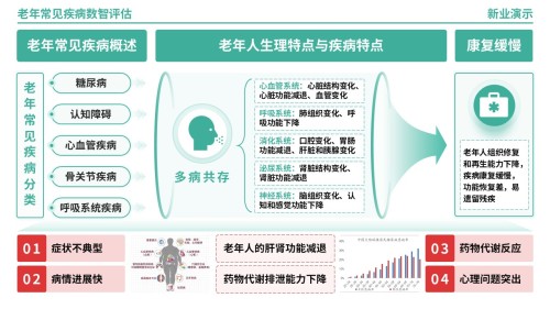 64-2《老年常见疾病数智评估》架构图(绿色)