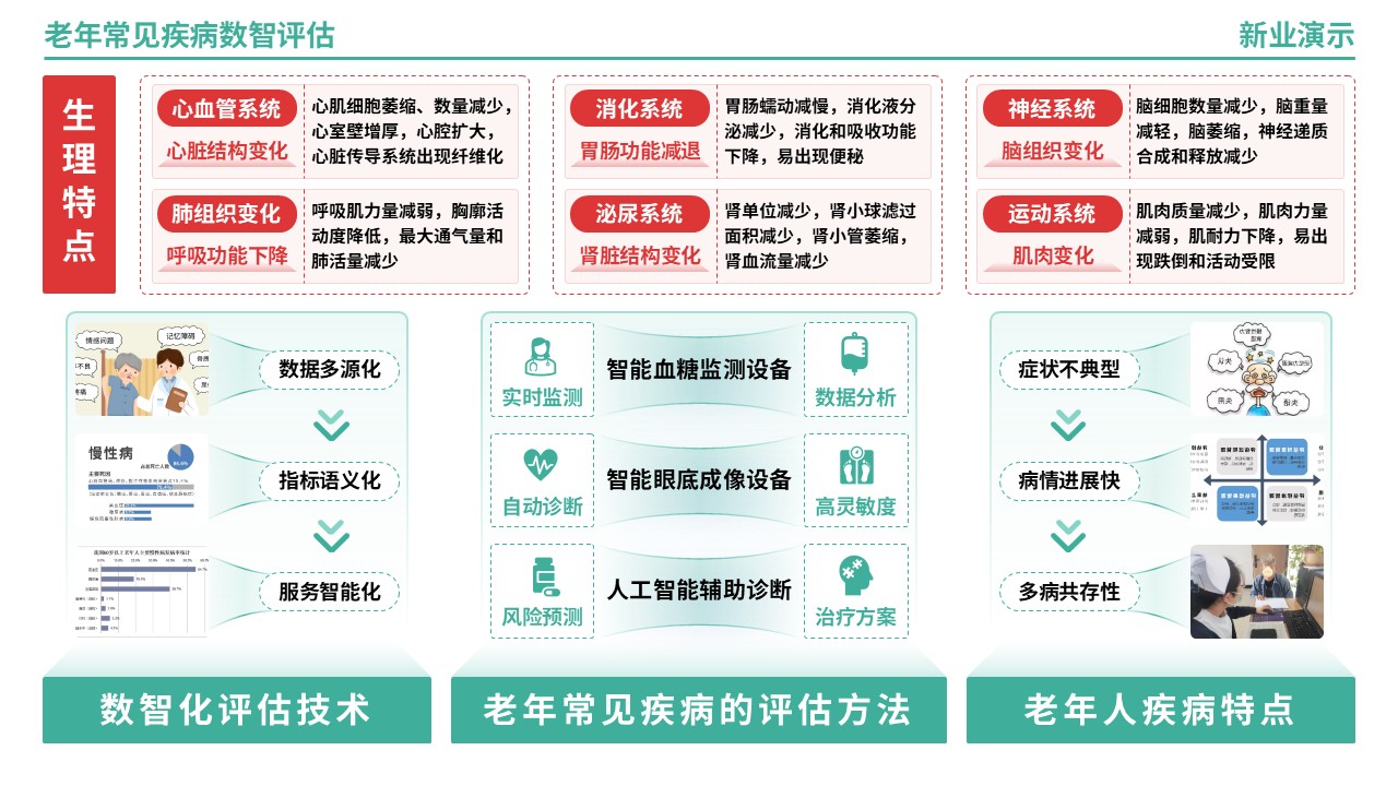 64-2《老年常见疾病数智评估》架构图（绿色）第5页预览图