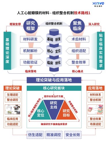 71-2科研架构图(人工心脏瓣膜的整合机制-紫绿橙)