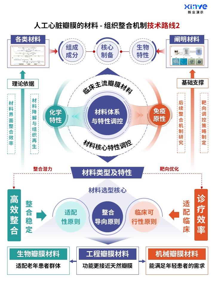 71-2科研架构图（人工心脏瓣膜的整合机制-紫绿橙）第2页预览图