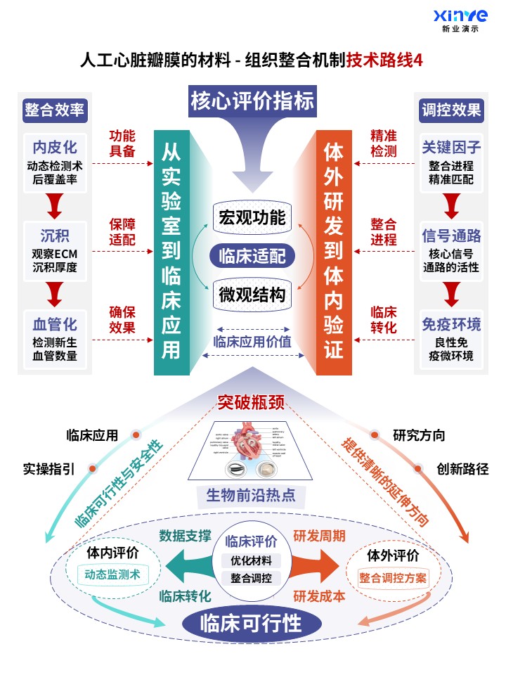 71-2科研架构图（人工心脏瓣膜的整合机制-紫绿橙）第4页预览图