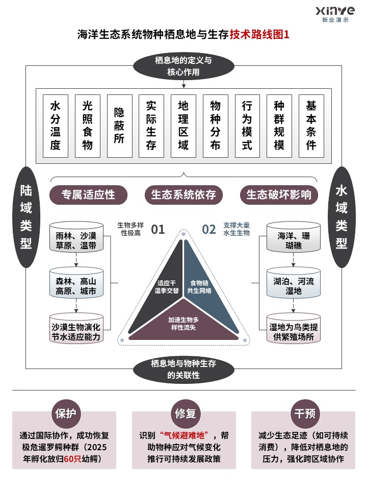 40-2技术路线图（海洋生态系统-灰蓝紫）第1页预览图