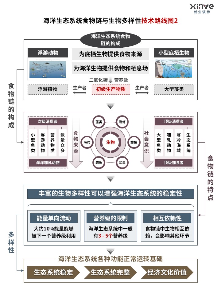 40-2技术路线图（海洋生态系统-灰蓝紫）第2页预览图