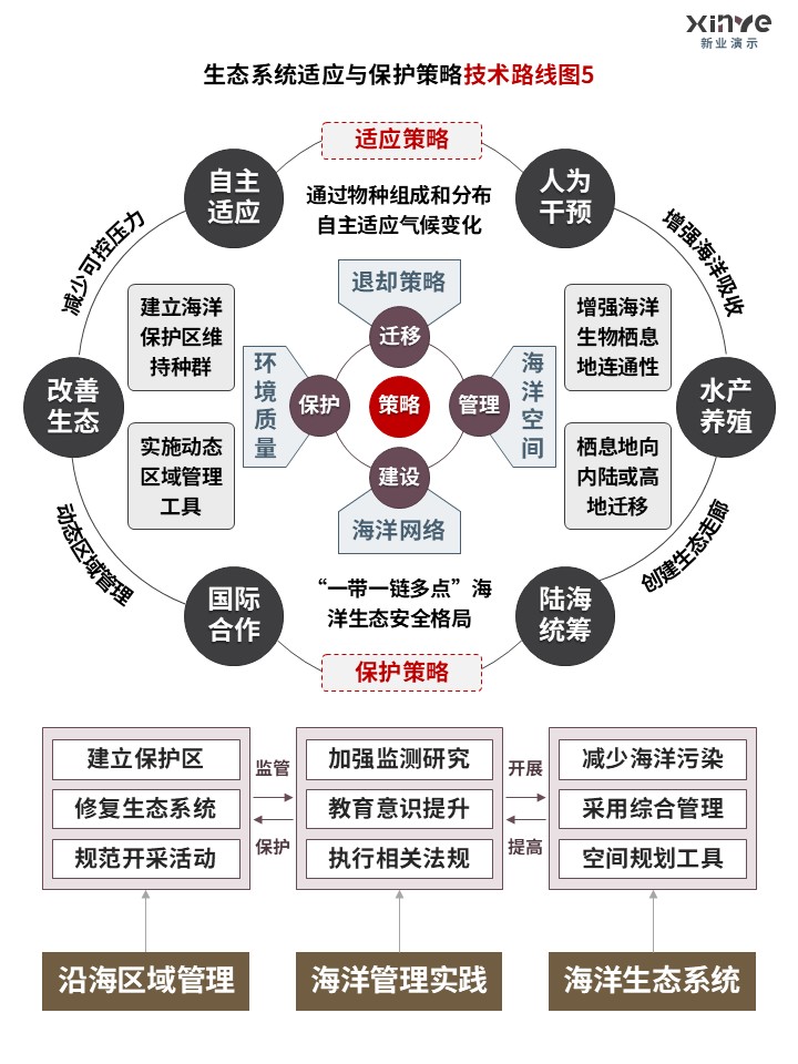 40-2技术路线图（海洋生态系统-灰蓝紫）第5页预览图