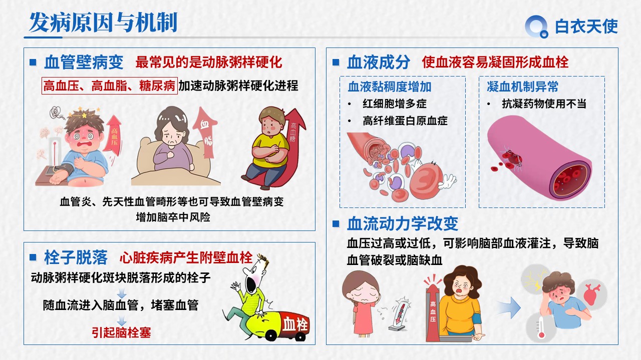 19-脑卒中健康宣教第4页预览