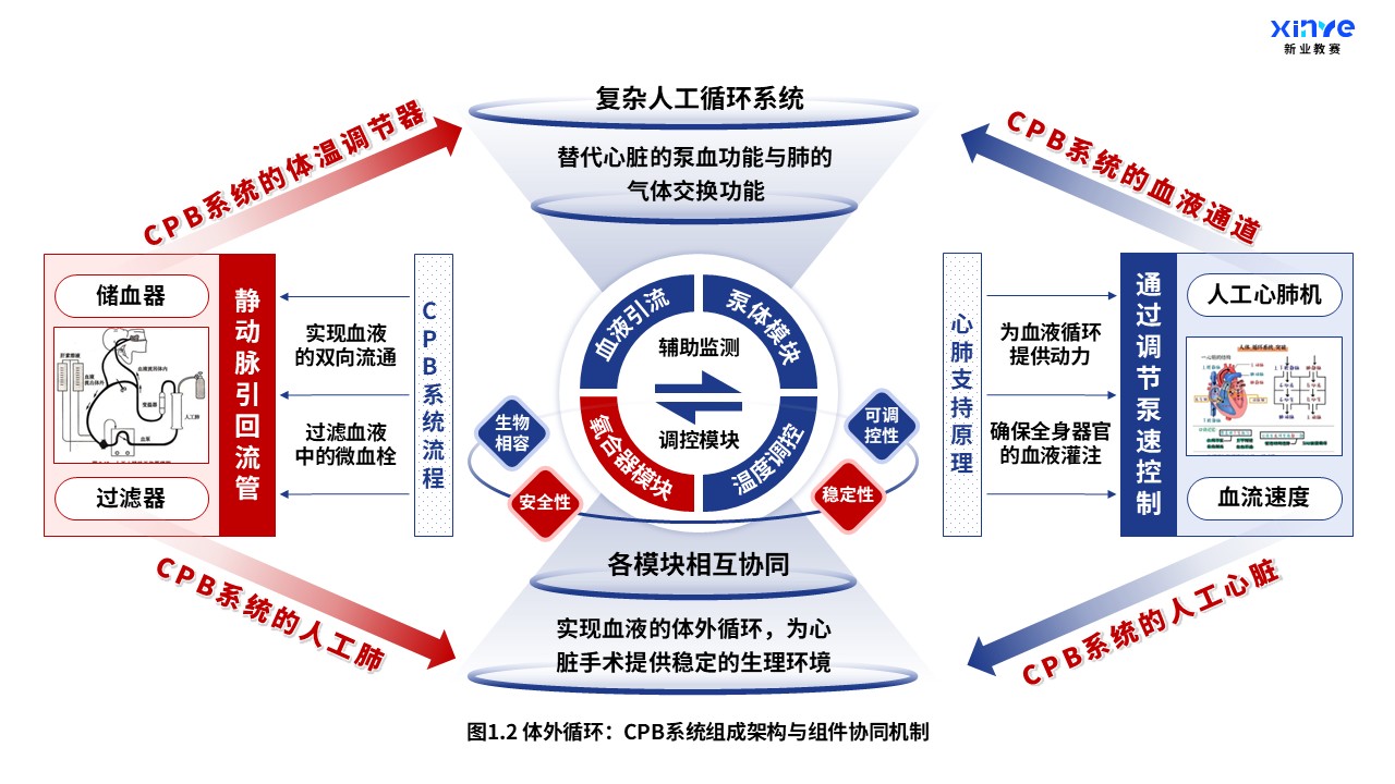 52-1 科研架构图（体外循环系统与心肺支持原理-蓝红）第2页预览图