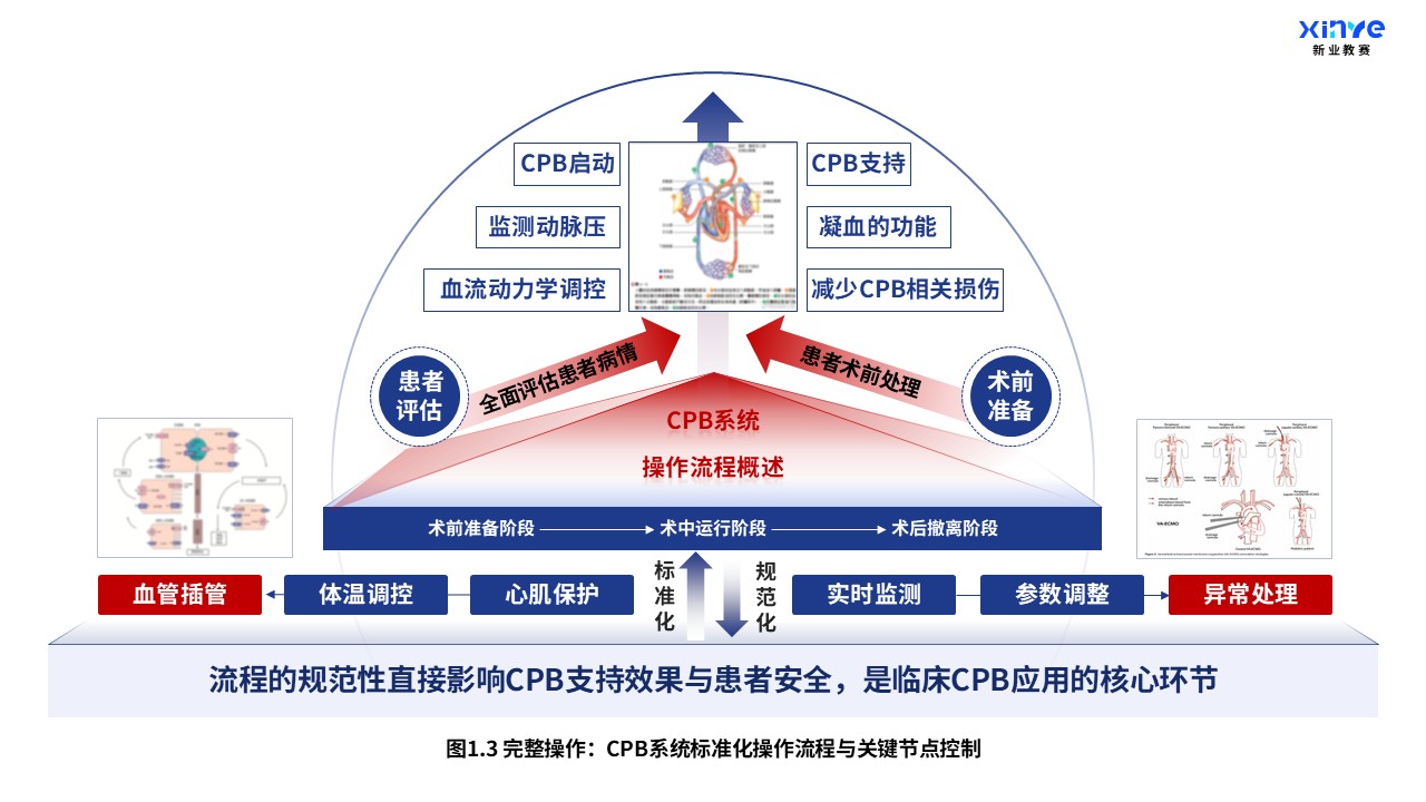 52-1 科研架构图（体外循环系统与心肺支持原理-蓝红）第3页预览图