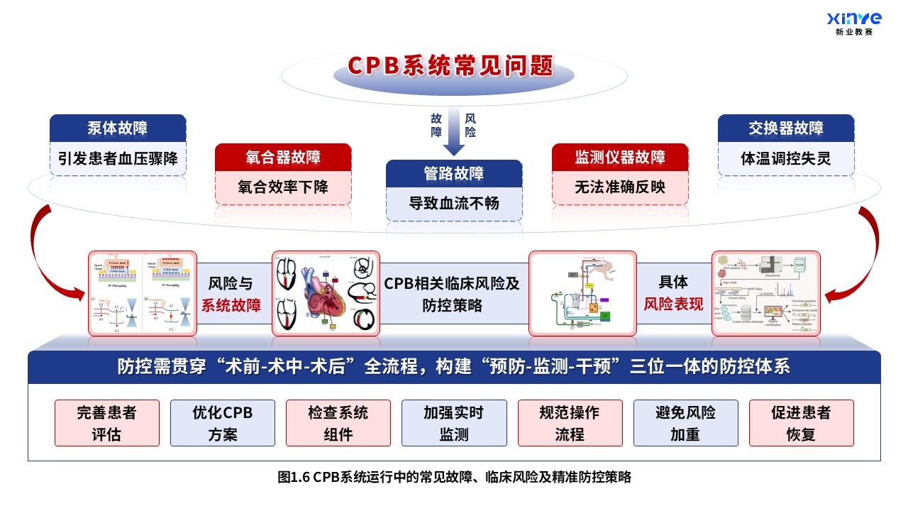 52-1 科研架构图（体外循环系统与心肺支持原理-蓝红）第6页预览图