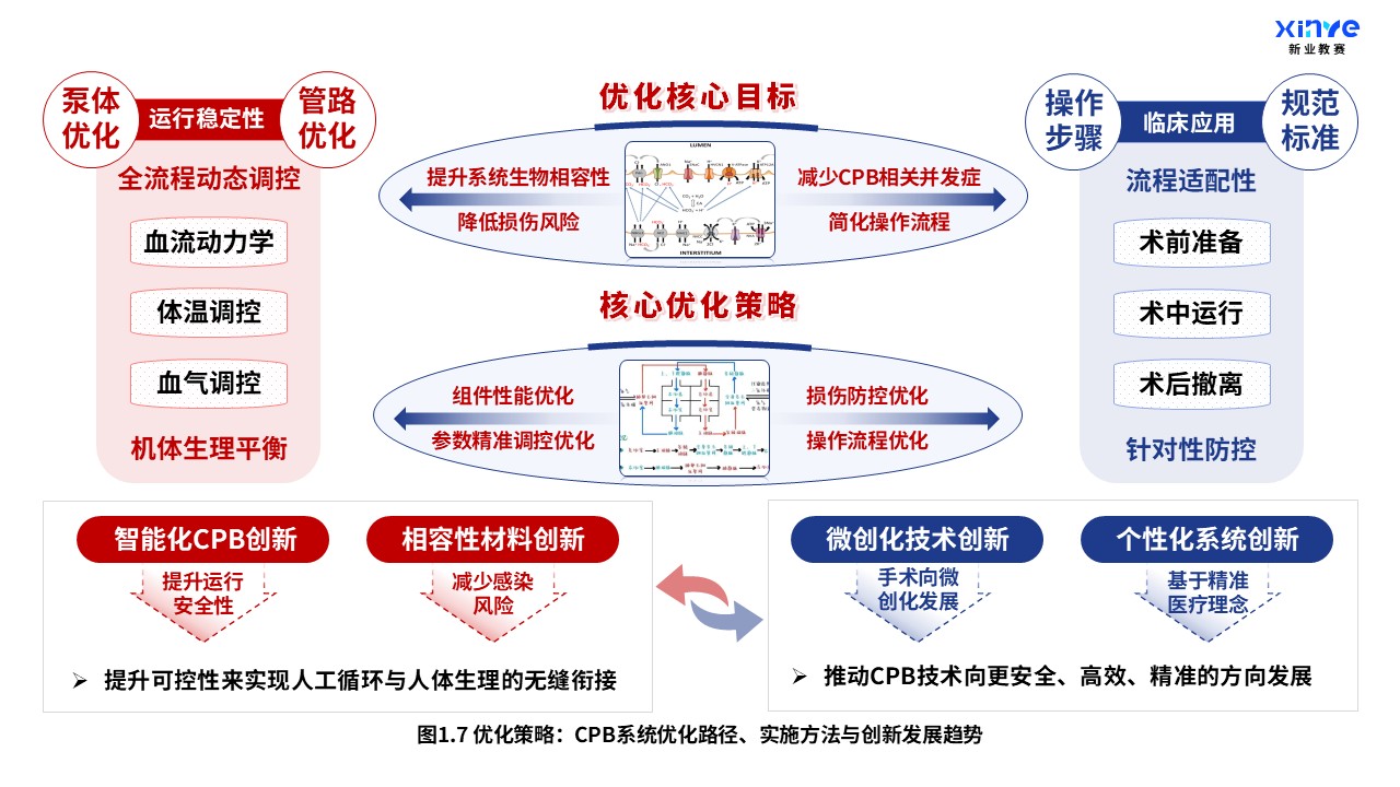 52-1 科研架构图（体外循环系统与心肺支持原理-蓝红）第7页预览图