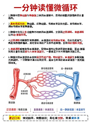 456期-科普文档-护理知识合集第2页预览