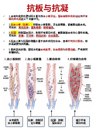 456期-科普文档-护理知识合集第3页预览